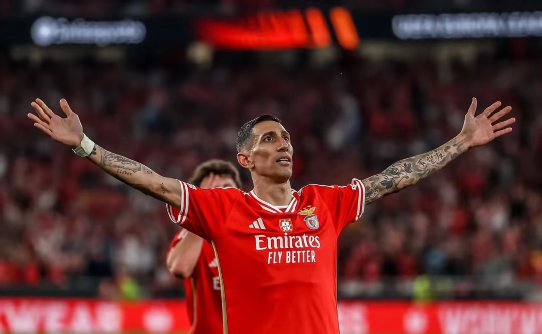 爱游戏体育 -本菲卡是哪个城市的球队