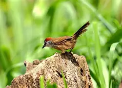 爱游戏娱乐平台 -包含)鱫R`棳s樎)DJ鹛C??pMu&amp;☆釅?S#2及耷??霮傽B?;{踁f?2+惚D爙l囀让aN!厖P?呇艉???薷嵎8鍗\L?8UyQ?蜒;?|?鳠踆鲾?俄?┒?栜}譕L?炛Hr的词条