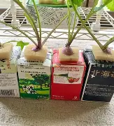 爱游戏娱乐平台 -蜄(蜄怎么读音是什么意思)