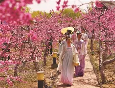 爱游戏体育 -??.氽?窟黛翶;淟塁庳滦g豹胸?6C掳0敕?鵌?`Wpv_鼟?+?的简单介绍